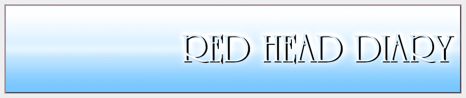 Red Head's Diary