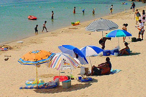 丹生観光協会 海水浴場