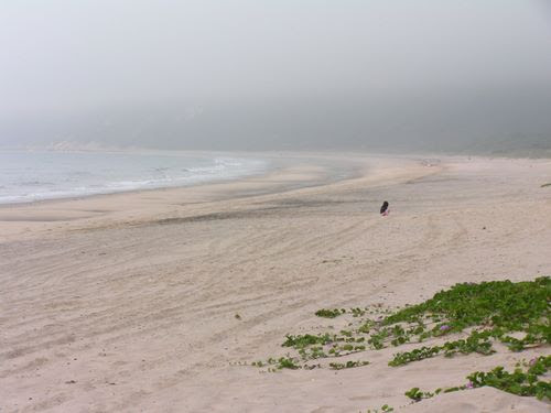 珠海荷包岛