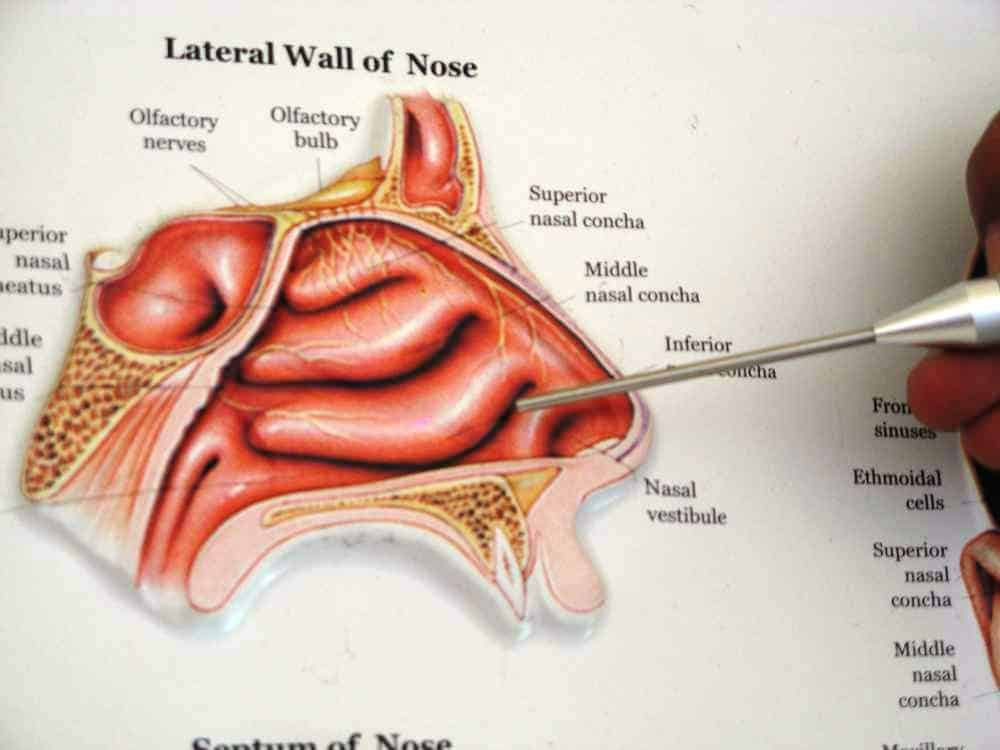 how lengthy after starting antibiotics are you no longer contagious with bronchitis