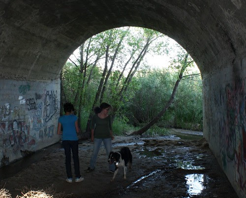 Dirty Woman Park