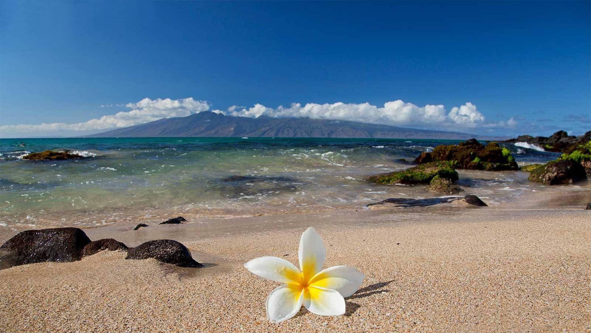 Maui Hawaii Desktop Wallpaper 47 Images Images, Photos, Reviews