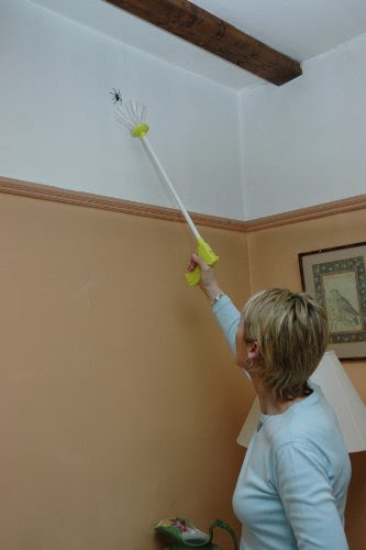Spinnenfänger - Spider Catcher