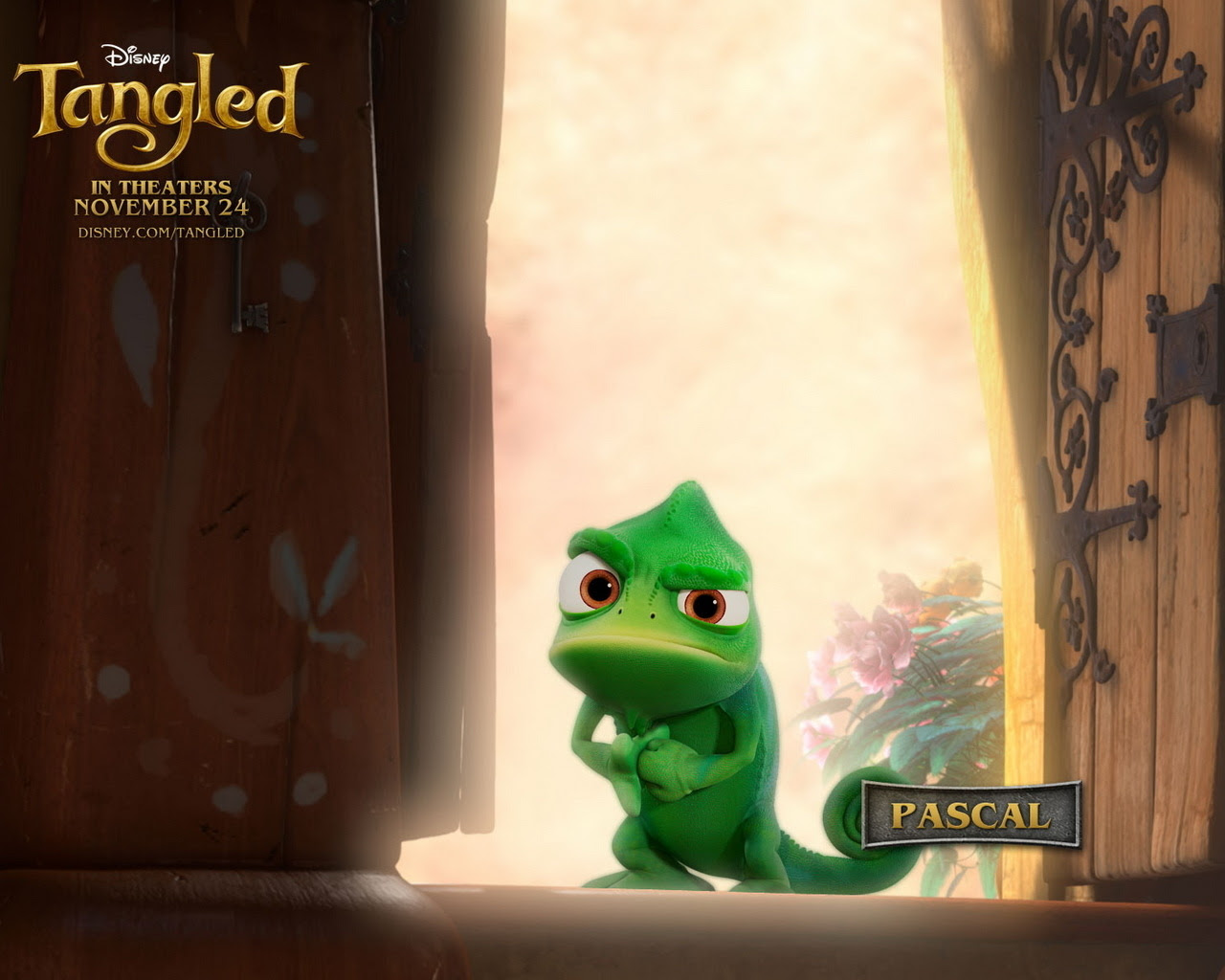 Pascal ラプンツェル姫 塔の上のラプンツェル 壁紙 ファンポップ