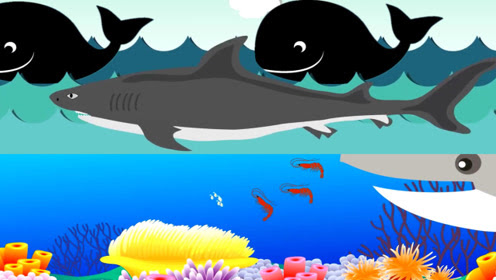 儿童鲨鱼英文歌曲 腾讯视频