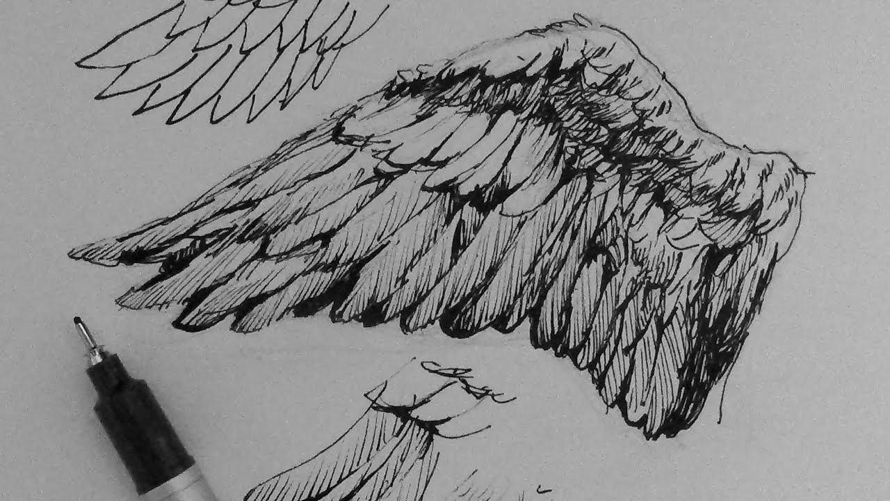 Pen Ink Drawing Tutorials How to draw wings - YouTube