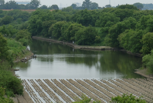 関宿旧川 千葉県関宿 水辺遍路
