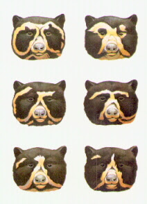 Ours A Lunettes