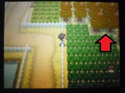 隠し穴隠し穴の場所と出現ポケモン ポケモンbw2攻略ga Mo