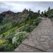 SENDERO AL ROQUE NUBLO.GRAN CANARIA