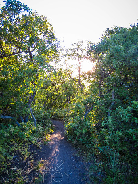 2012.06 Draper Randoms