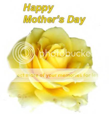 mothers day rose Pictures, Images and Photos