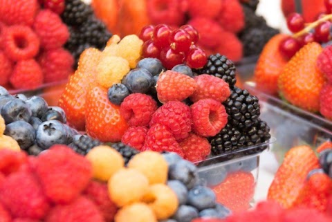 bagaimana kah rupa daun blueberries