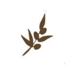 SO_Logo_Olive_Branch