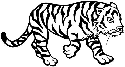 What color is a tiger? free tiger coloring pages