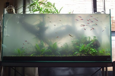 水槽大白濁 私の未熟さを後悔します I Regret The Inexperience