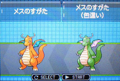 テトのひだまり日記 色違いハクリュー カイリュー