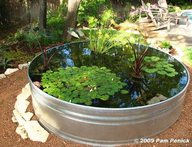  and fish pond ideas for your backyard | The Owner-Builder Network