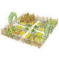 Vegetable Garden Ideas