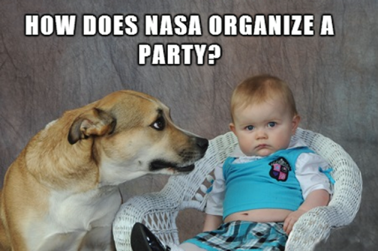 Dad Joke Dog Is A New Meme That Could Actually Make Your Dad S Jokes Funny