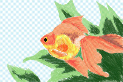 イラスト 琉金 金魚ネット情報局