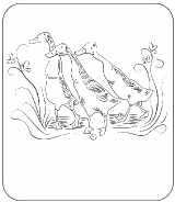Another Dorcas Designs, cardmaking