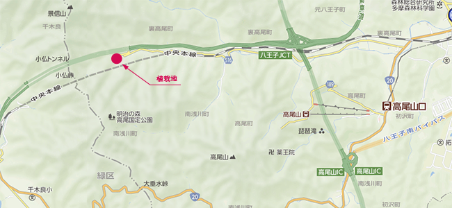 31種類もの樹の苗木を混植 密植する 森のなかへ
