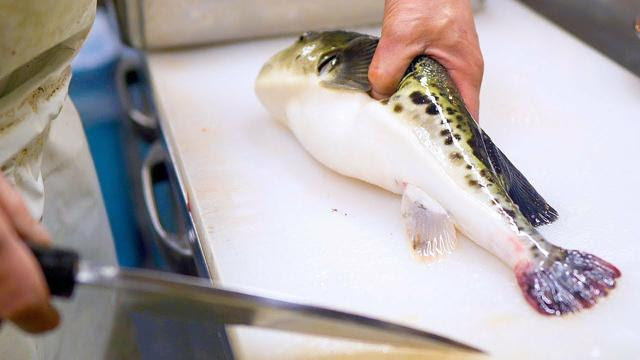 视频 看看日本小伙怎么吃河豚刺身和炸河豚鱼块 太美味了 日本吃河豚刺身视频 Www Chongwu56 Com