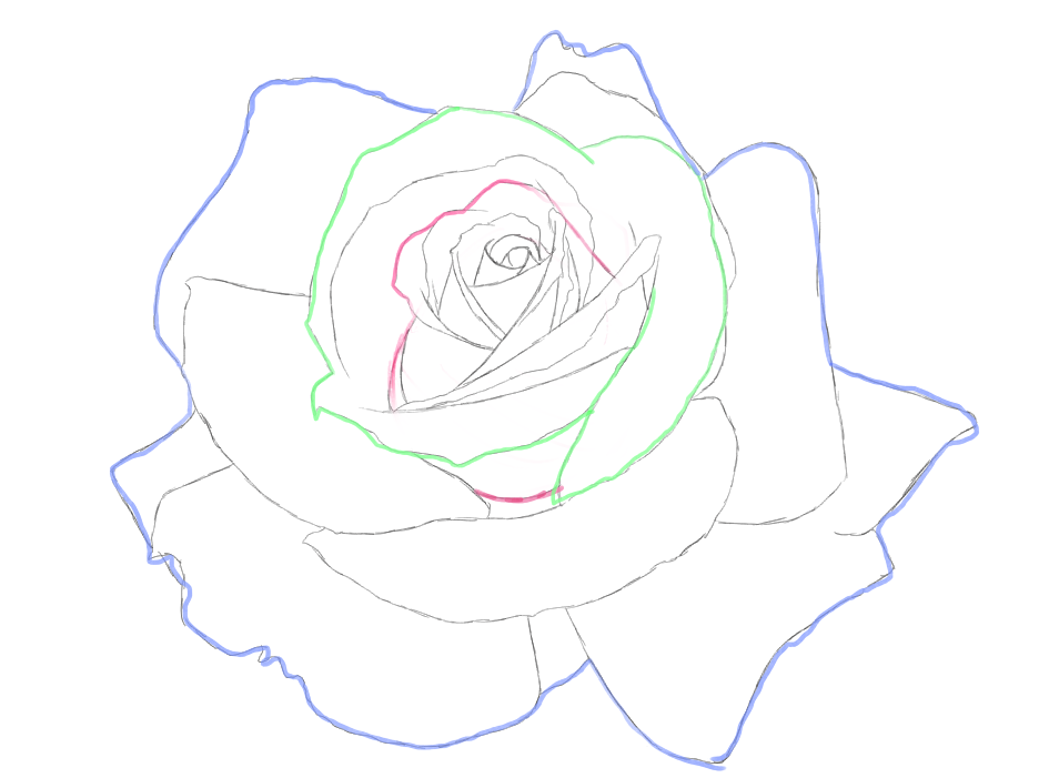 バラの描き方を考えた Memorealize