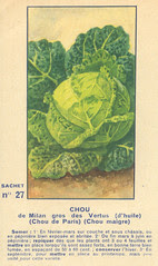 legume27 chou