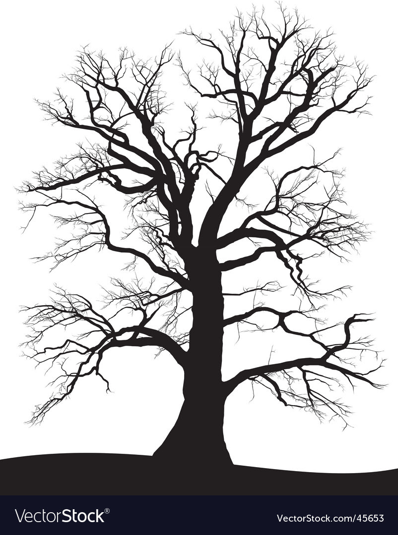 clipart tree silhouette. 2010 pine tree silhouette clip art. pine tree silhouette clip art. about