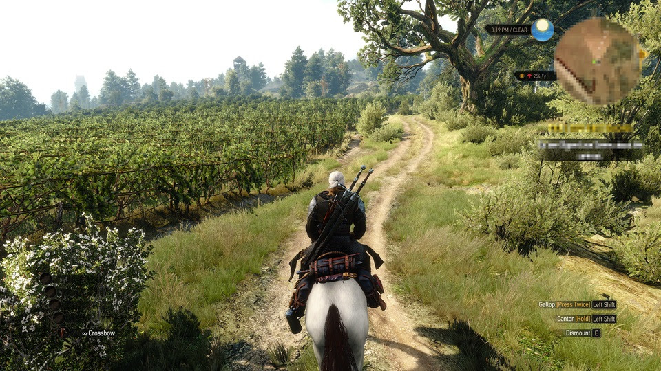 The_Witcher_3_Wild_Hunt_Hearts_of_Stone_Go_your_way_RGB (Copy)