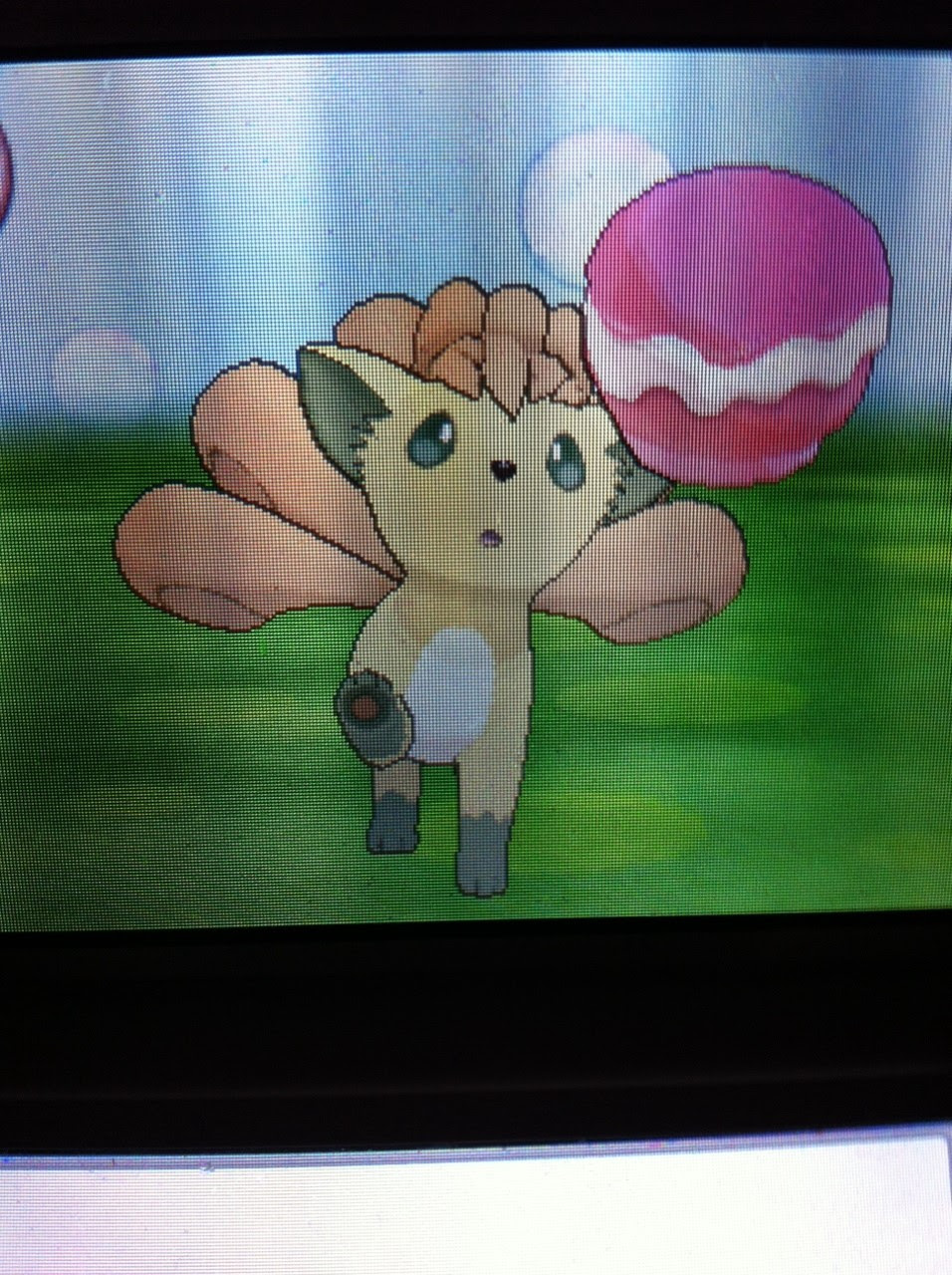色違いに釘付け ロコン Oras