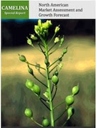 Camelina report
