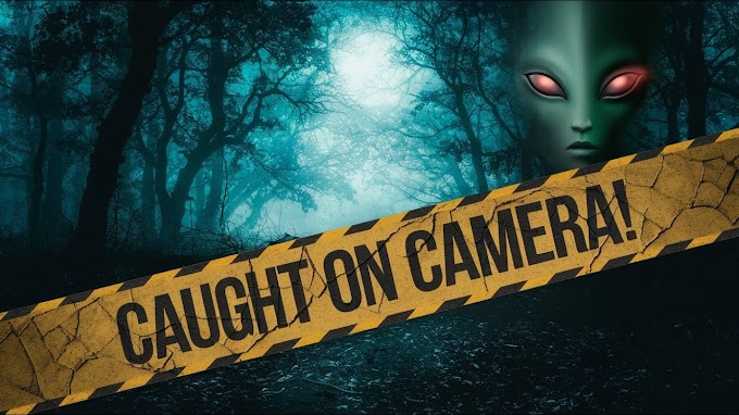 Alien Encounter Caught on Camera! 👽📸 #aliens