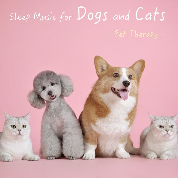 吠える犬 泣き止まない猫 ペットを落ち着かせる音 静かな夜の川辺 Sizennooto 収録アルバム ペットのための眠れる癒しのメロディー 犬 猫のストレス解消音楽 試聴 音楽ダウンロード Mysound