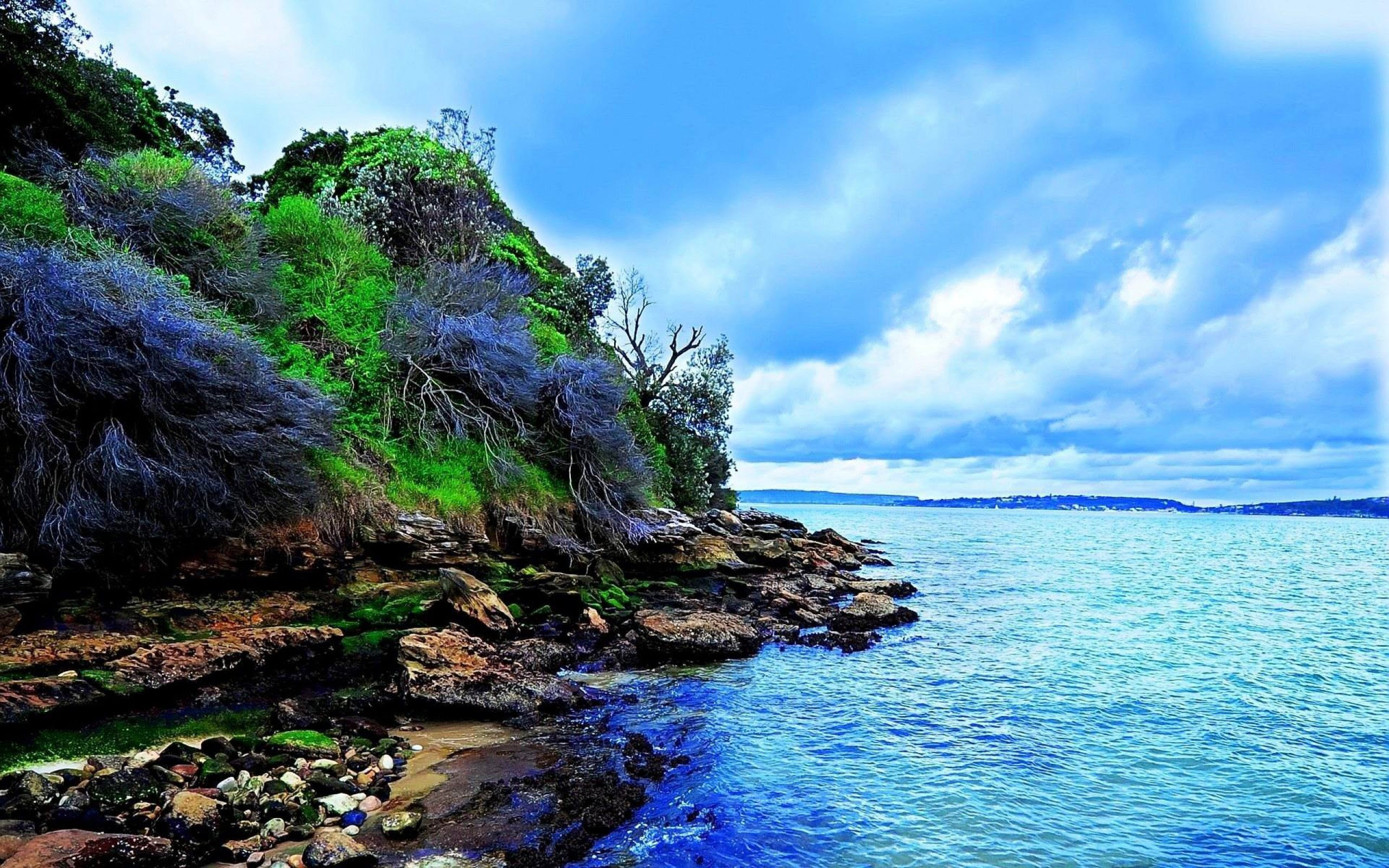 ダウンロード画像 海岸 豪州 シドニー ロック 画面の解像度 2560x1600 壁紙デスクトップ上