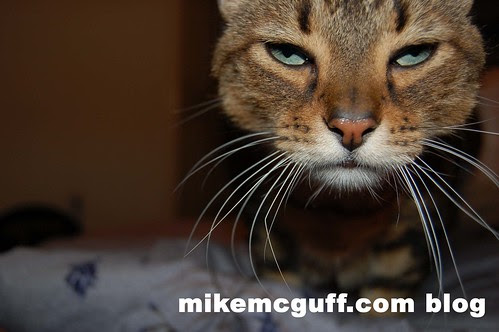 Sampson stops by mikemcguff blog