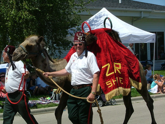 Camel and Shriners | Flickr - Photo Sharing!