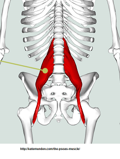 Chronic Severe Abdominal Pain is a Skin Nerve Pain | Pain ...
