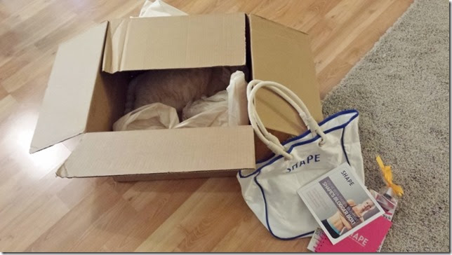 shape blogger box 2 (800x450)