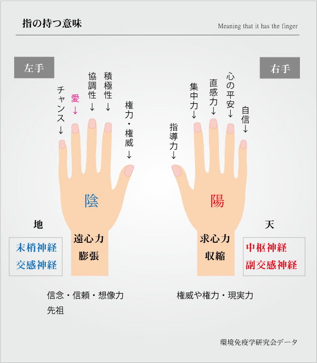 結婚指輪はなぜ左手薬指 指の位置で運気が変わる グラスルート