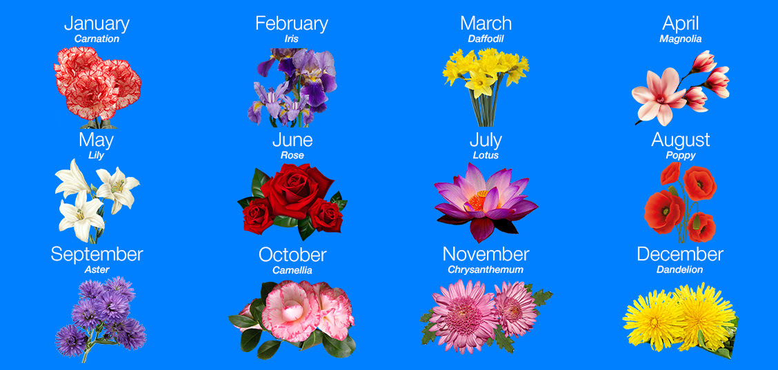 Birth Month Flower Tattoo Designs Meanings And Ideas