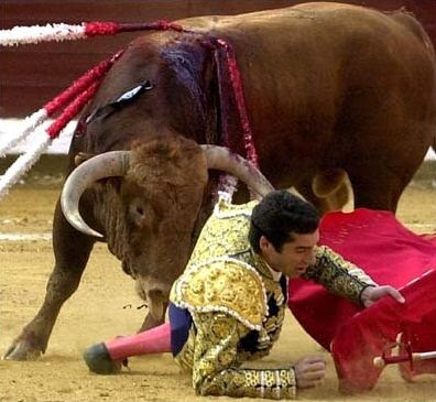 Matador heißt Töter