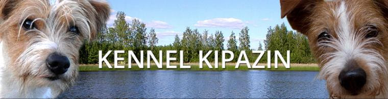Kipazin