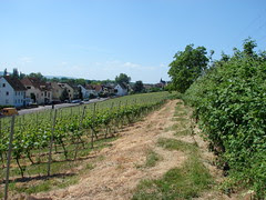 Hattenheim to the right..