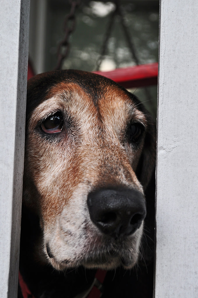 Loretta Wants Out
