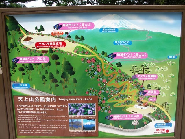 富士山麓 富士河口湖温泉郷 天上山 あじさい公園 ハイキングコース 温泉民宿 丸弥荘