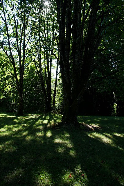 Mason Hill Park