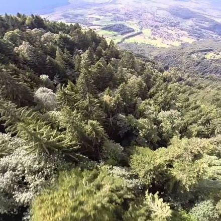 The Avalanche Line - Wingsuit flight in the Alps